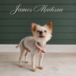 James Madison