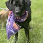 Bonnie