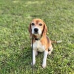Matilda