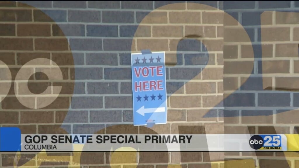 Sc Election Commission: Voter Turnout Strong For Republican Primary