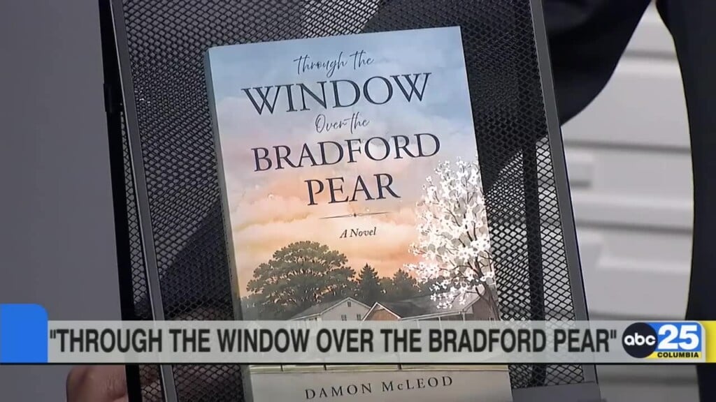 Damon Mcleod: Through The Window Over The Bradford Pear