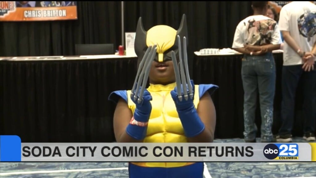 Cosplayers Enjoy Soda City Comic Con