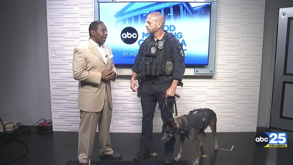 Rcsd Guardians Of The Night K9 5k Preview 2026