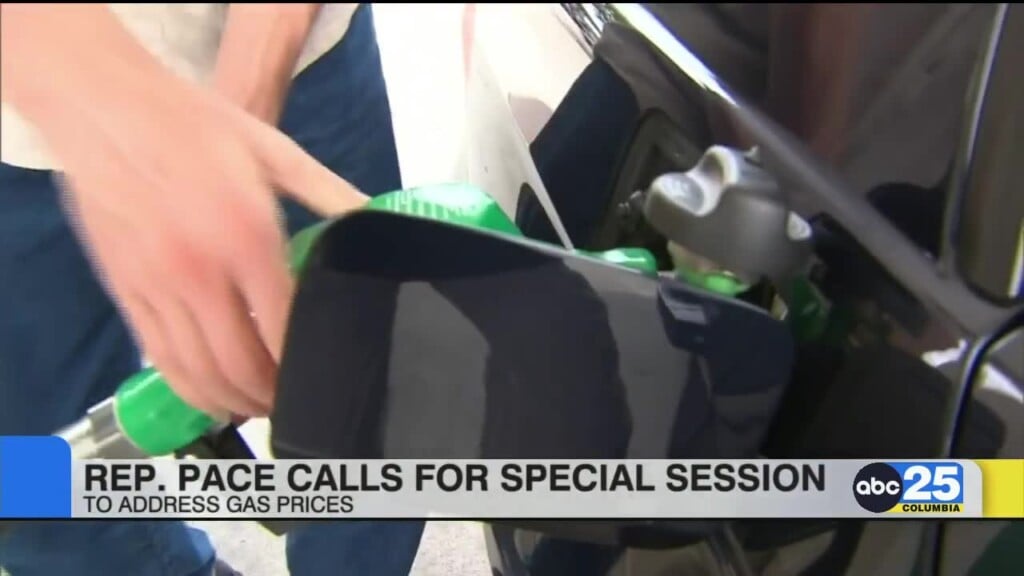 Rep. Pace Calls For Special Session To Address Gas Prices
