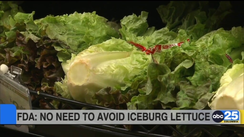 Fda: No Need To Avoid Iceburg Lettuce