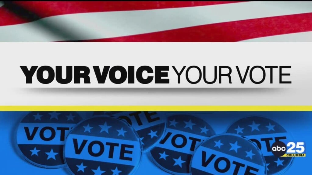 Appeals Court Ruling On Sc's Absentee Voting Law