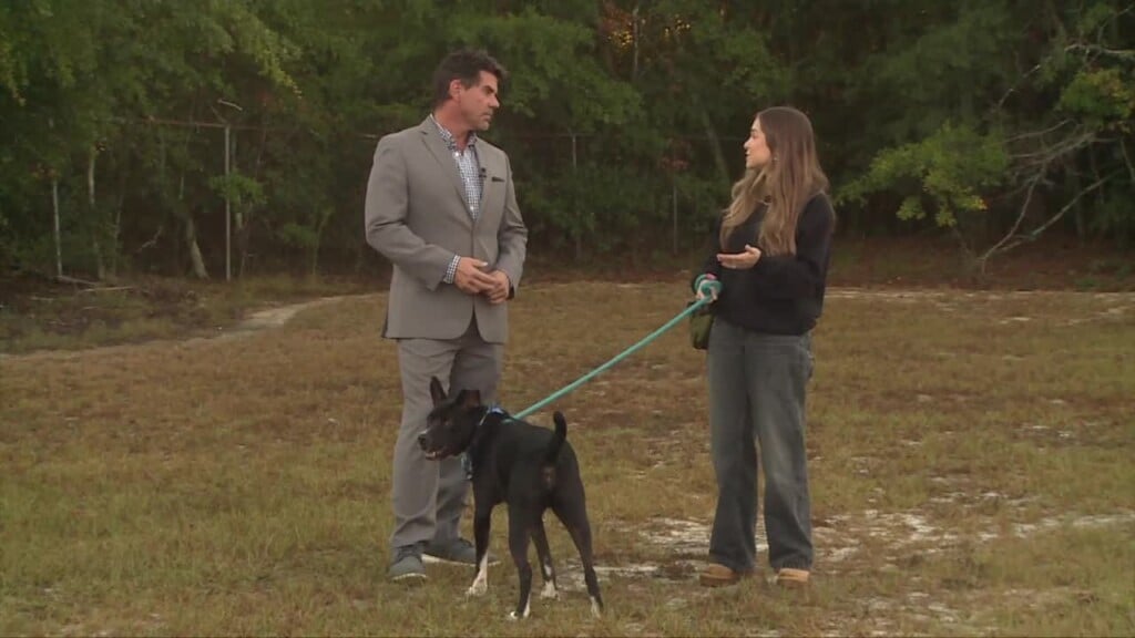 Columbia Pet Of The Week: Dakota