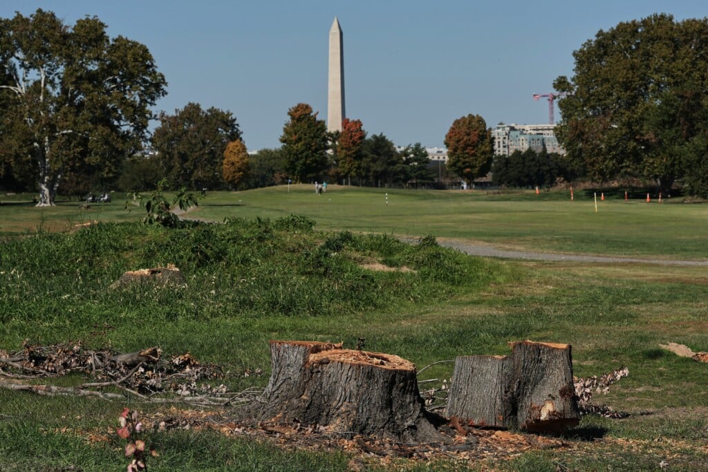 Trump Golf Course