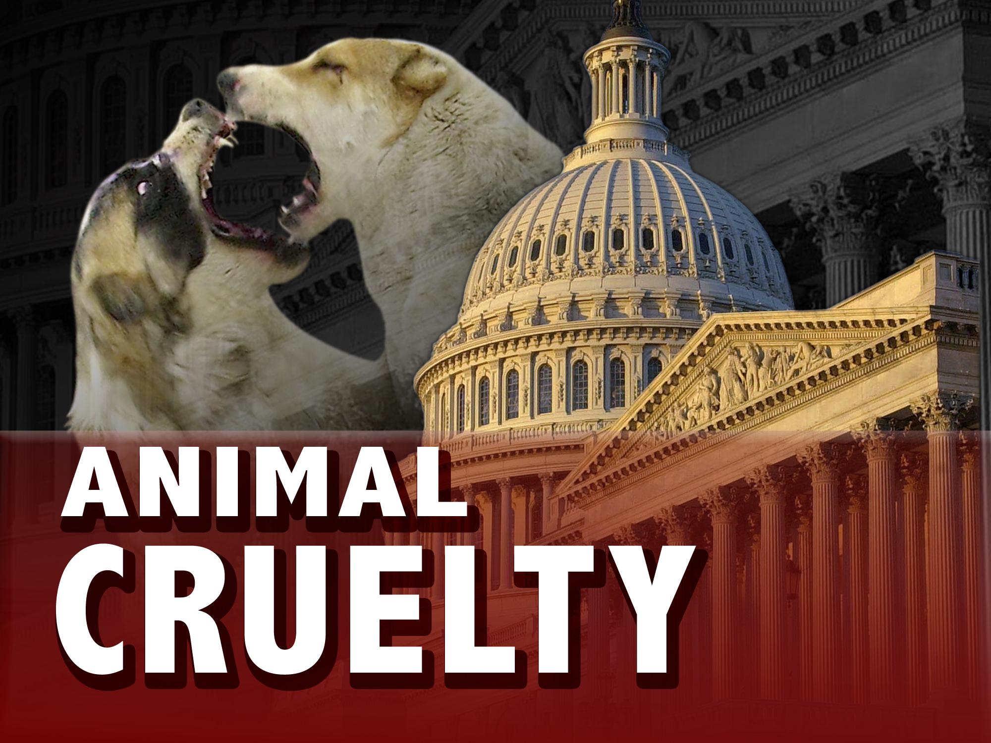 house-lawmakers-pass-bill-making-animal-cruelty-a-felony-alabama-news