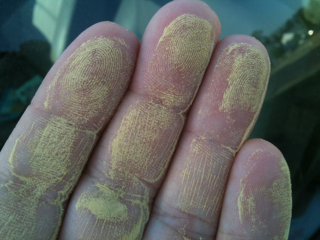 early-allergy-season-pollen-alabama-news
