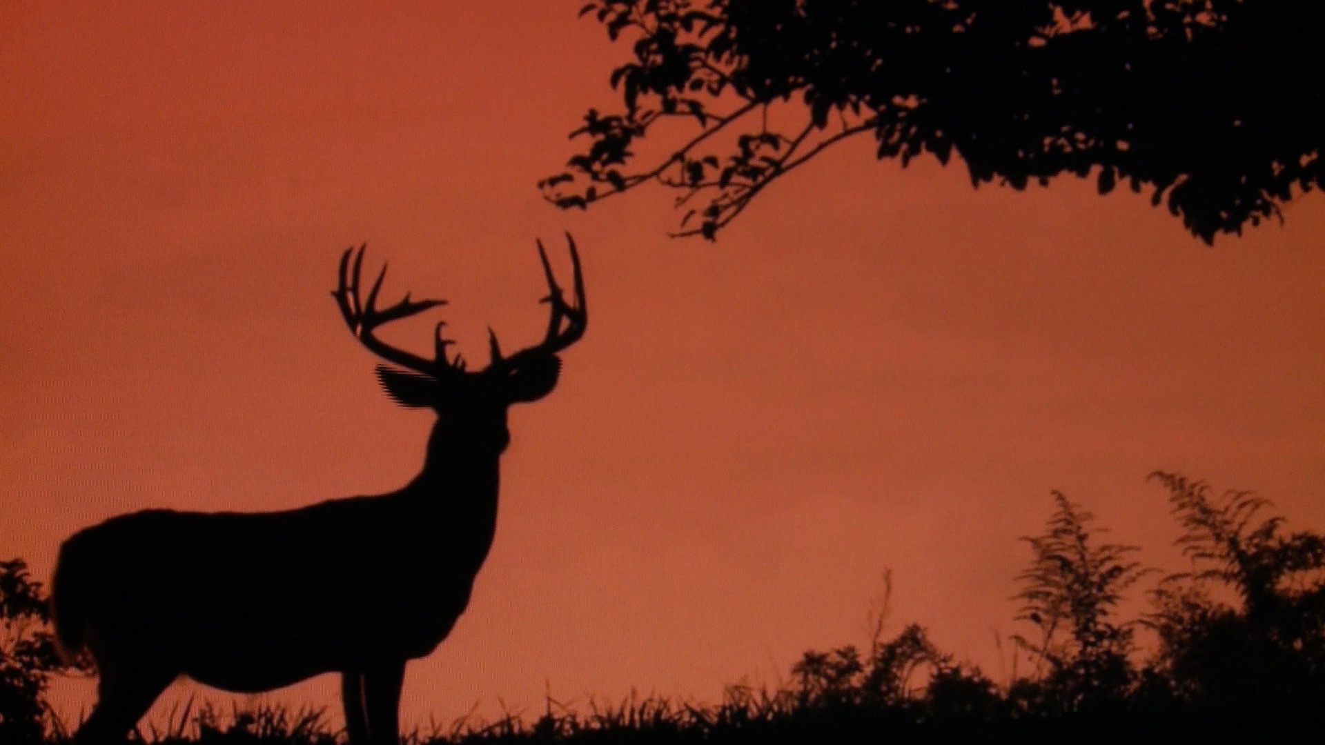 Troy Hunting Death Alabama News