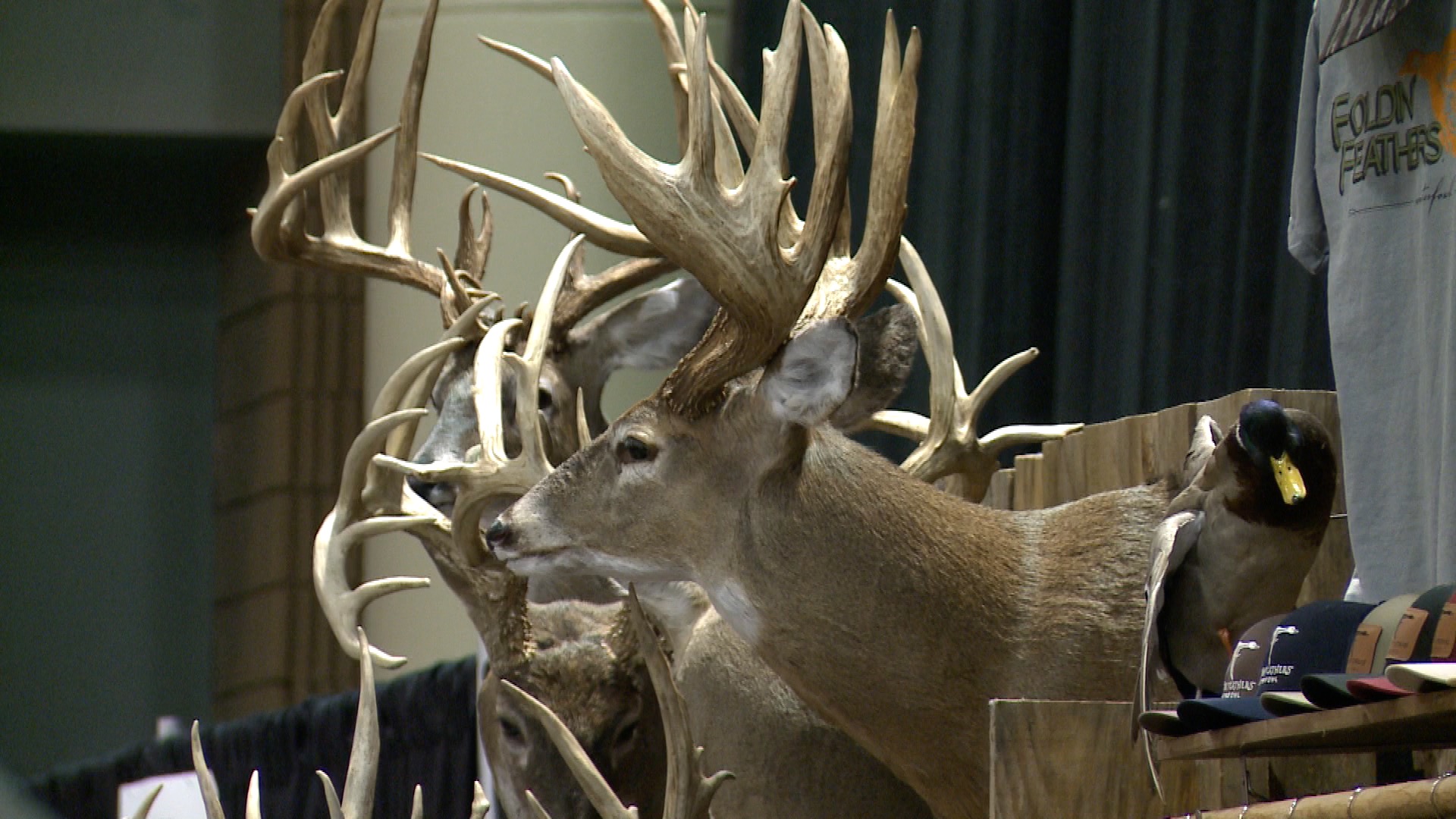 Buckmasters Expo Day 2 Alabama News