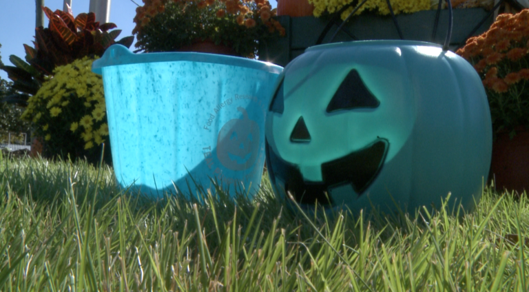 Local Mother Raising Awareness for Teal Pumpkin Project Alabama News