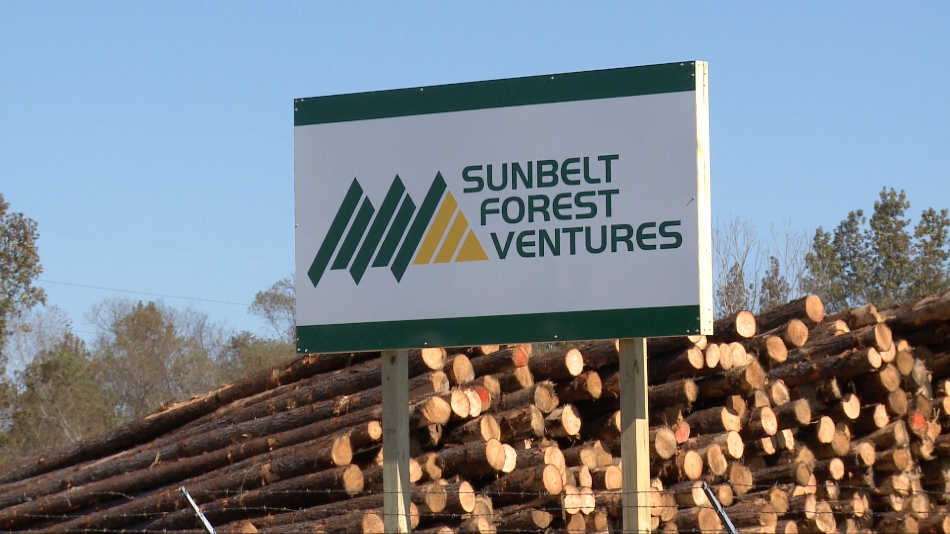 New Sawmill to Bring Dozens of New Jobs to Selma Alabama News