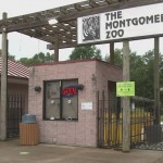 Montgomery Zoo Update