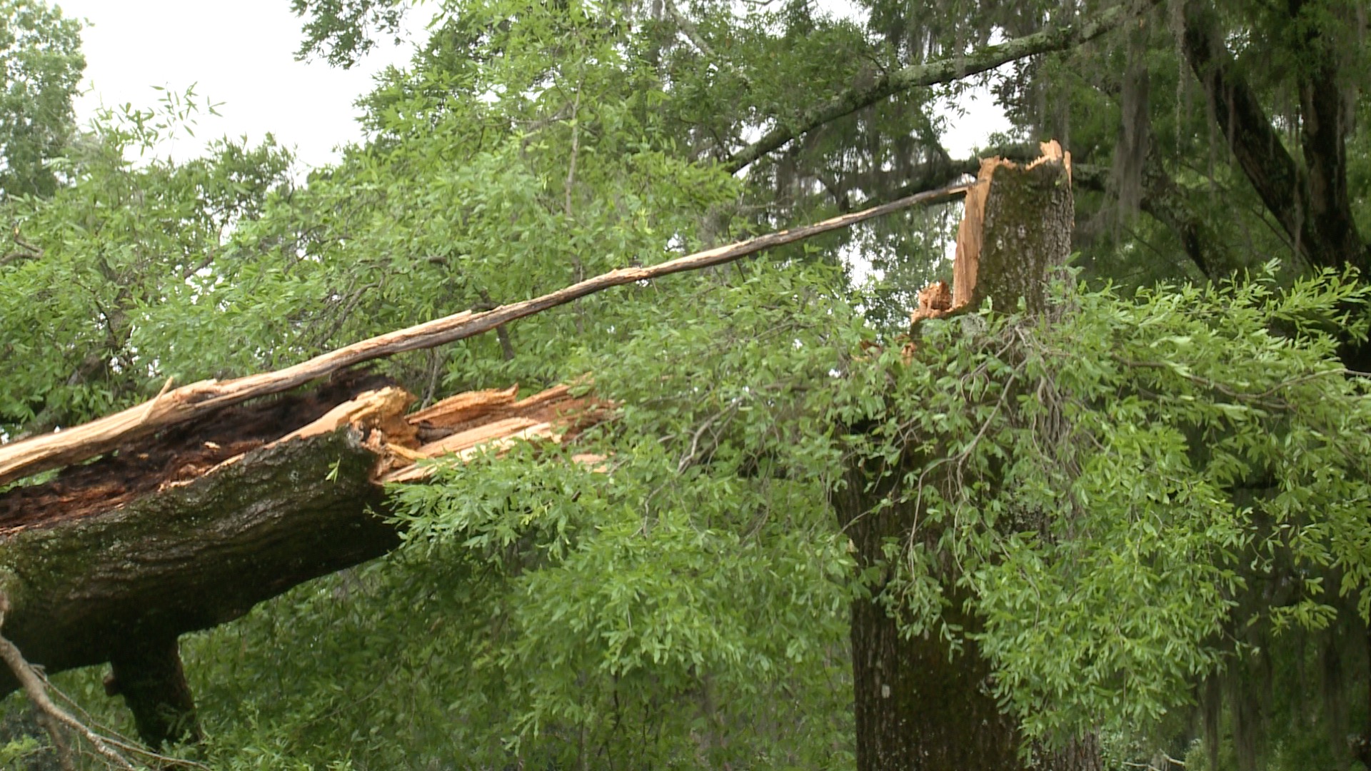 EF1 Tornado Confirmed in Prattville Tuesday Alabama News