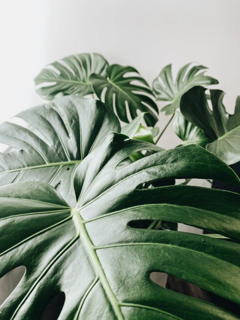 Jeremy Lee F5r Clctkck Unsplash