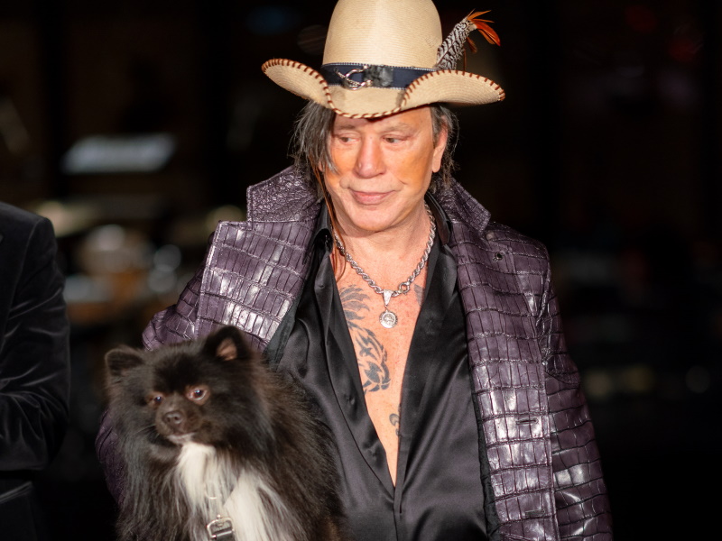 Mickey Rourke Retires From Skateboarding After Injury
