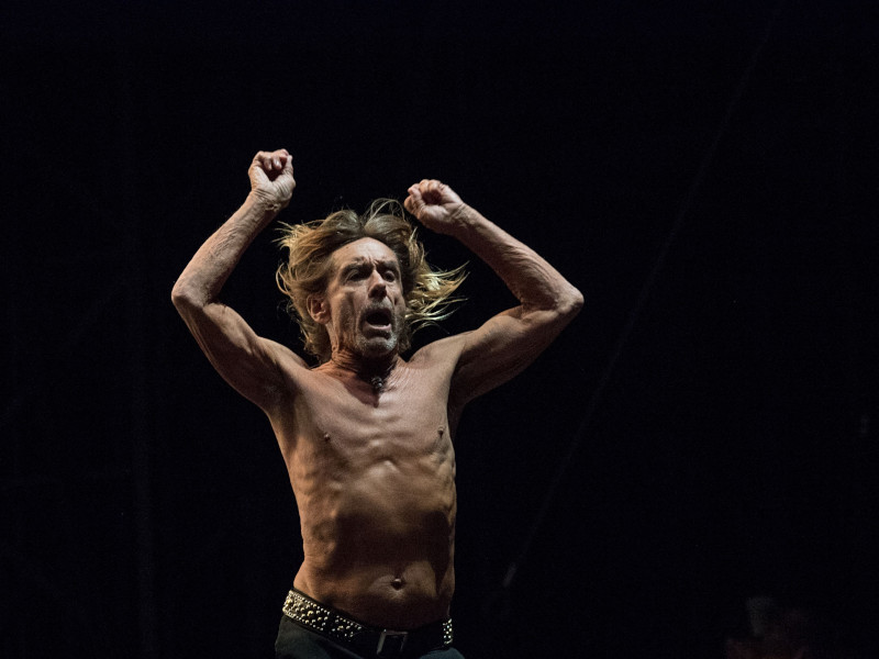 Iggy Pop Staying True To Form On New Album