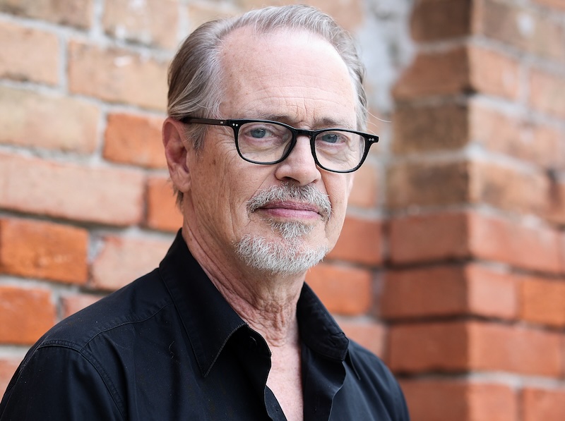 Steve Buscemi Alleged Attacker Was Arrested And Charged In Nyc