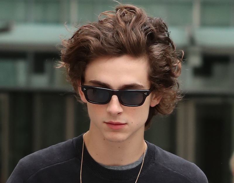 Timothée Chalamet Crashes His Own Look Alike Contest After Police Shut It Down