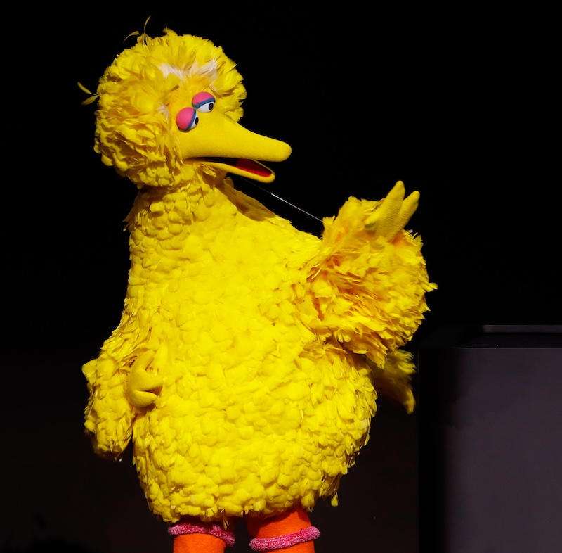 Netflix Picks Up ‘sesame Street’ Worldwide Streaming Rights After Max Deal Ends