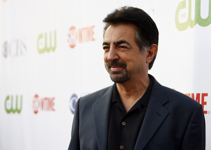 Joe Mantegna, Gary Sinise To Host National Memorial Day Concert In D.c.