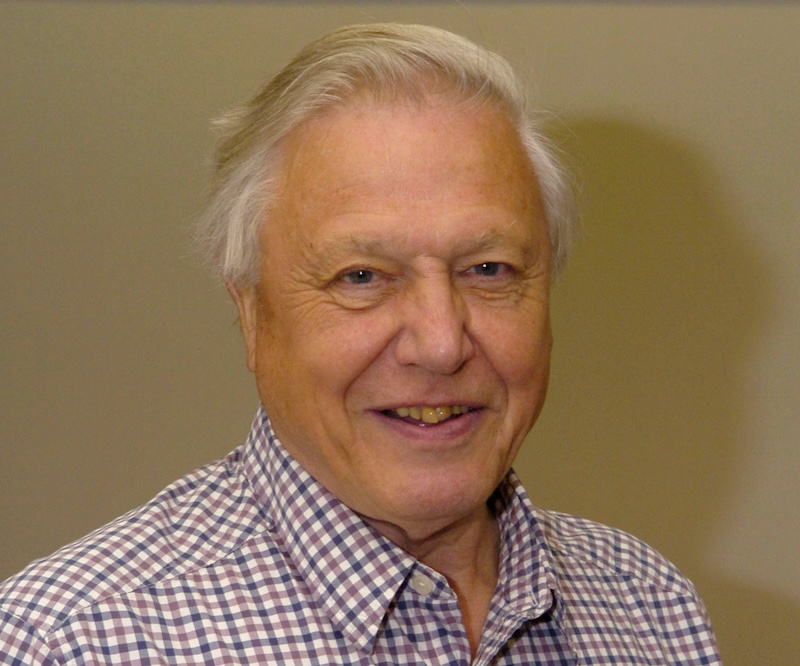 David Attenborough Sets New Record As Oldest Daytime Emmy Winner At 99