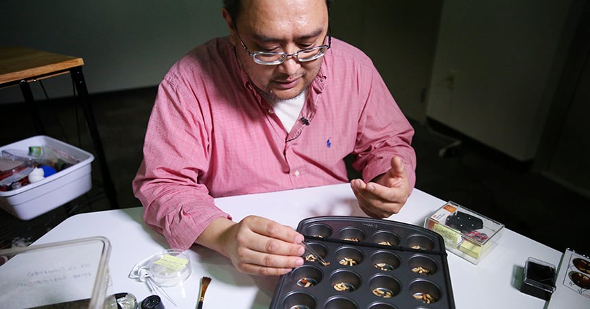 Alex Olvido Is Researching Insects As Food On The Oconee Campus.