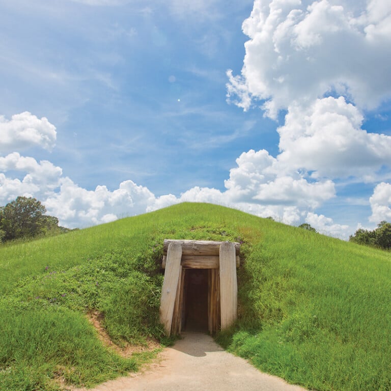 Organizations: Ocmulgee National Park And Preserve Initiative - Georgia ...