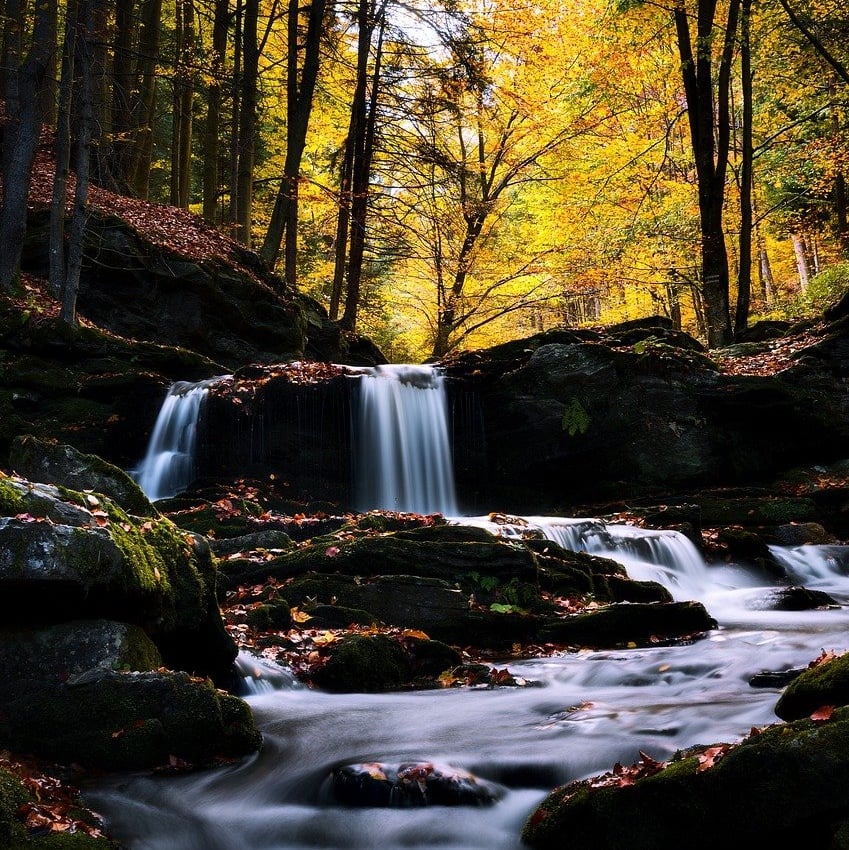 Georgia Streams