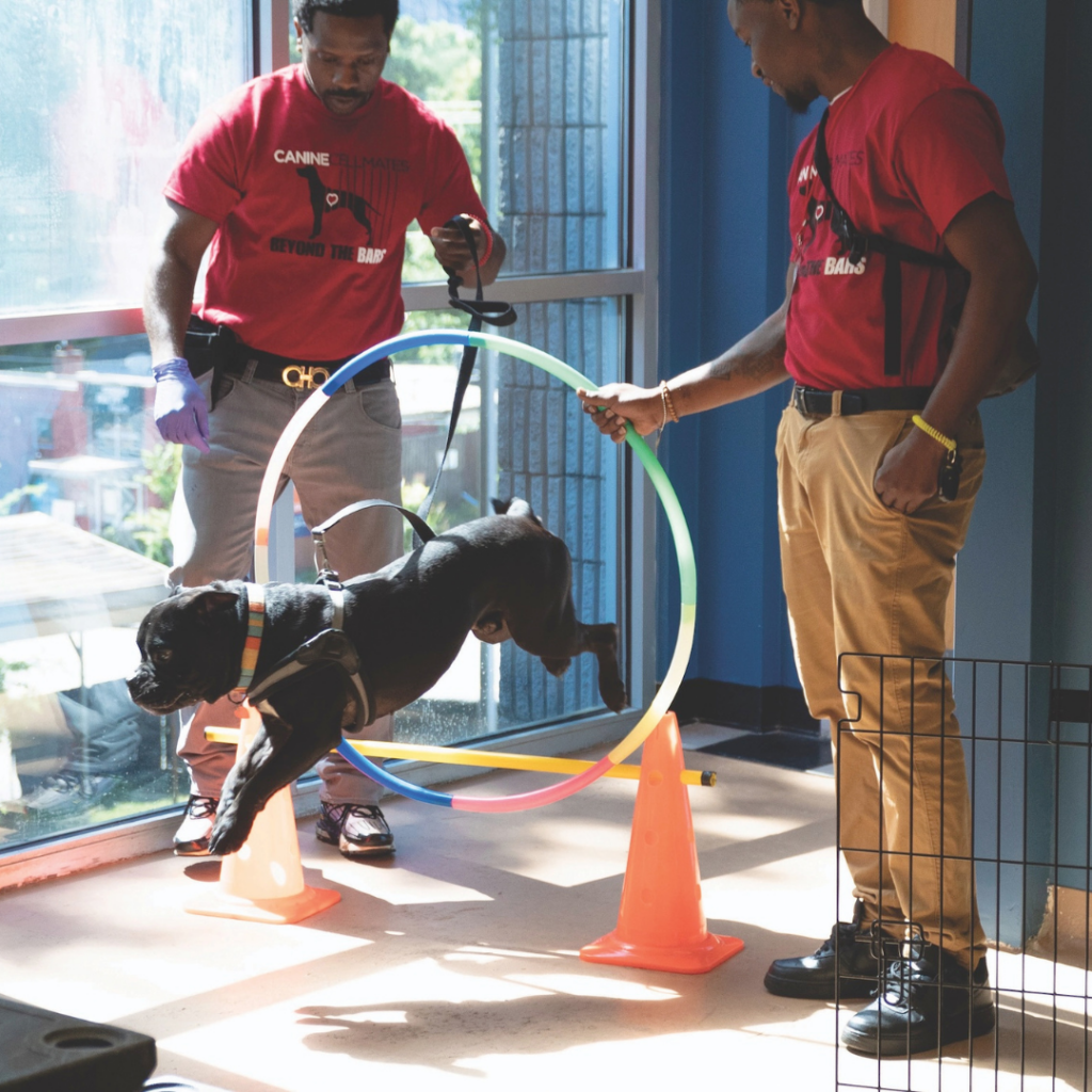 Canine Cellmates Feat