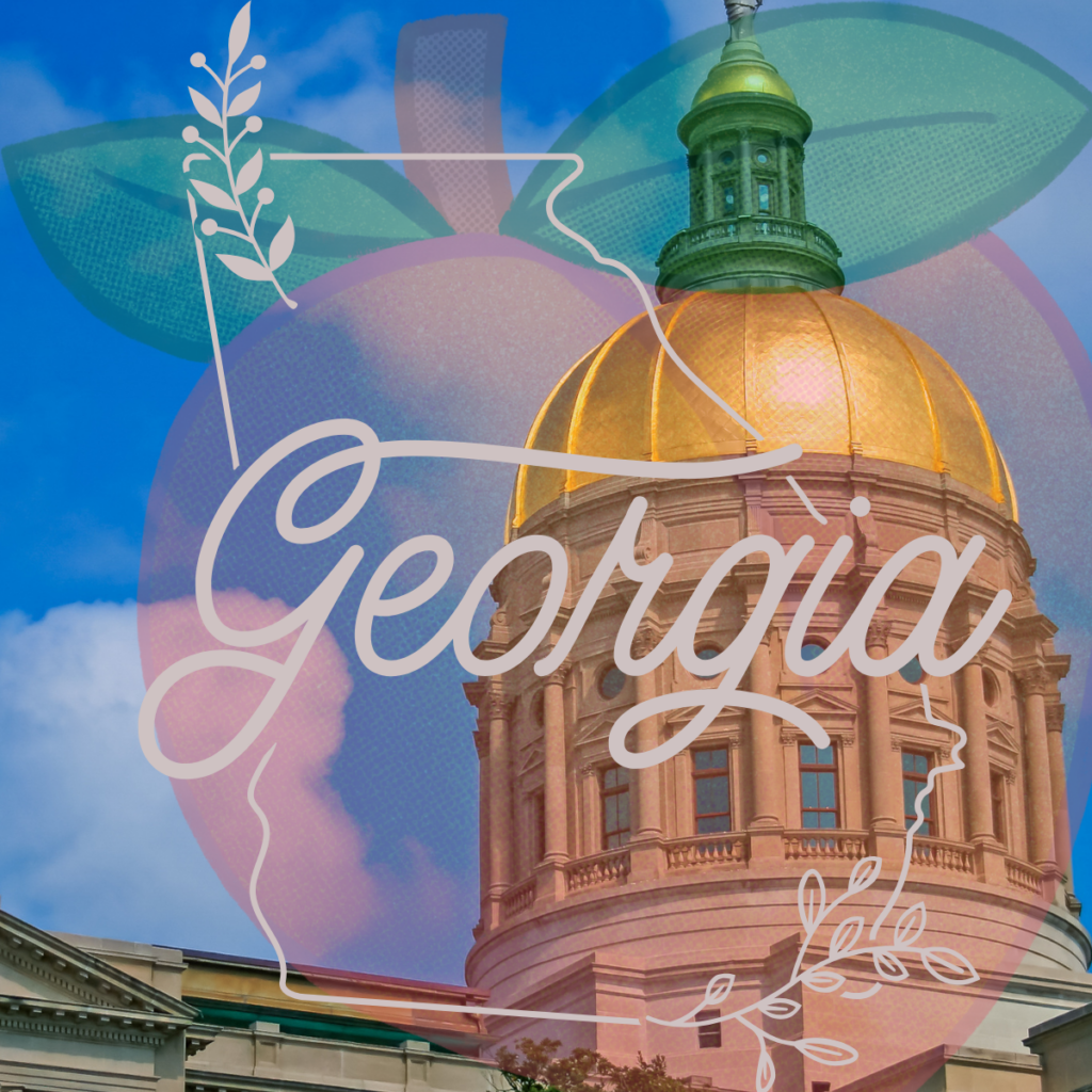 Georgia Politics Governor