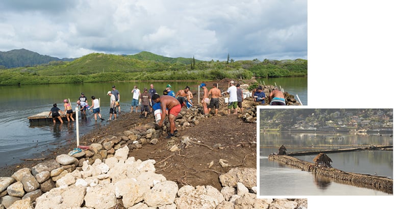 Paepae o Heeia is a nonprofit that is restoring and maintaining a Heeia fishpond, shown above and at right. It relies upon volunteers like those above and seventy-seven percent of its budget comes from grants and donations. Photos: left, David Croxford; right, courtesy of Paepae o Heeia.