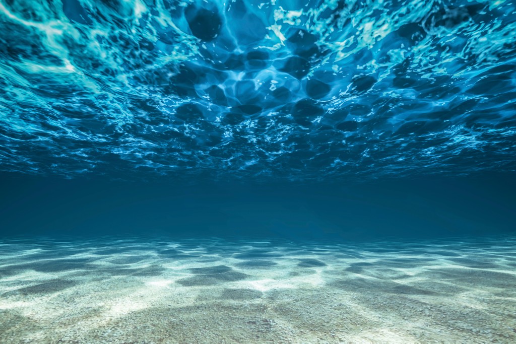 Entrepreneurs Inspired By The Ocean - Hawaii Business Magazine