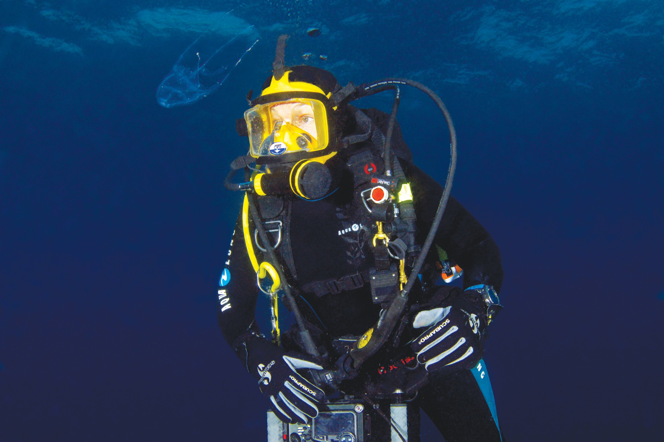 Box Jellyfish Sting Experience Inspires UH Researcher to Create