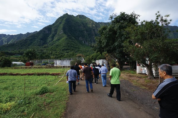 March’s table-to-farm event was held at Nalo Farms in Waimanalo, with Olomana and Koolau as majestic backdrops. Photo: Courtesy of Sheraton Maui