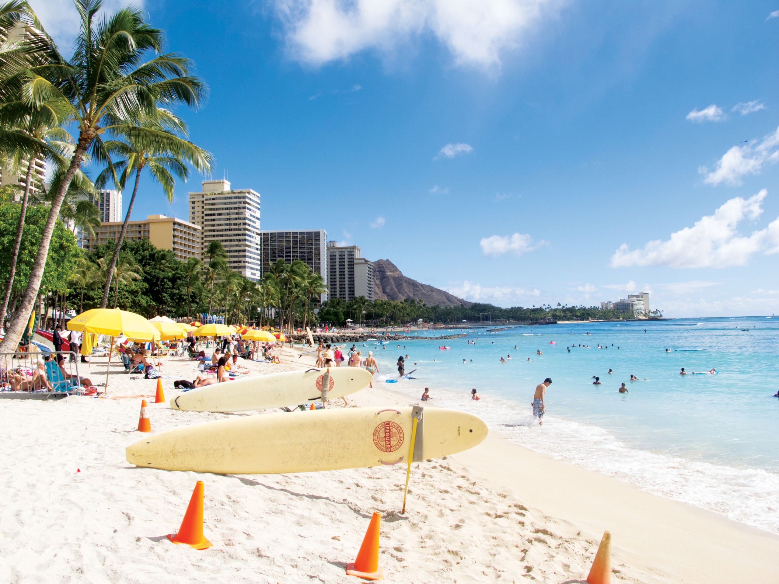 Waikiki Beach by Next » Reviews & Perfume Facts