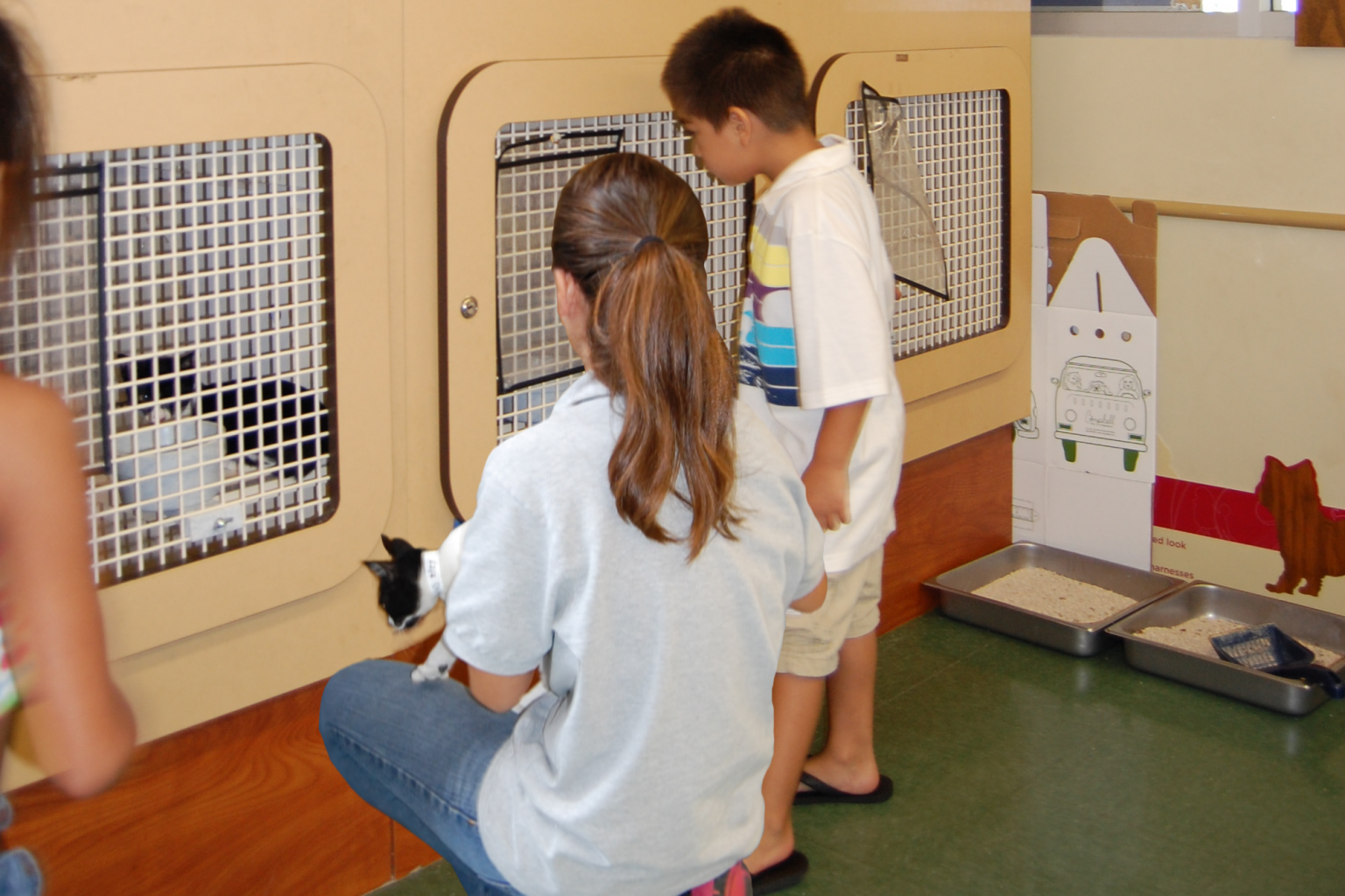 Some Hawaii Pet Stores Don’t Sell Pets, But Offer Adoptions Instead