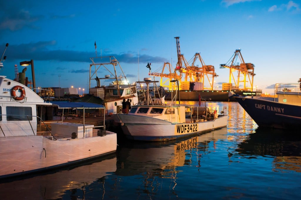 Fisherman cleaning catch on a fishing boat hi-res stock