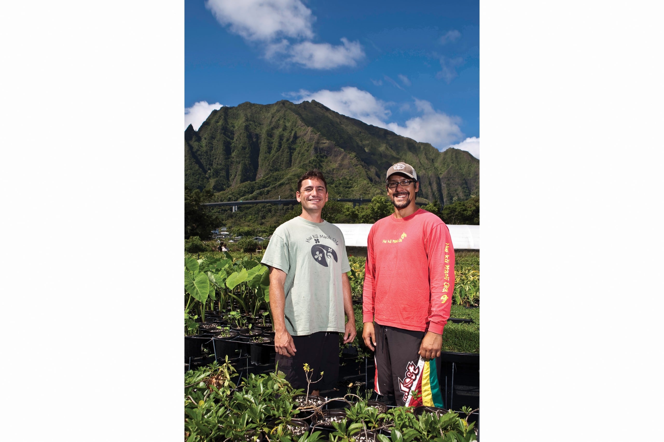 Native Hawaiian Businesses Hawaii Business Magazine