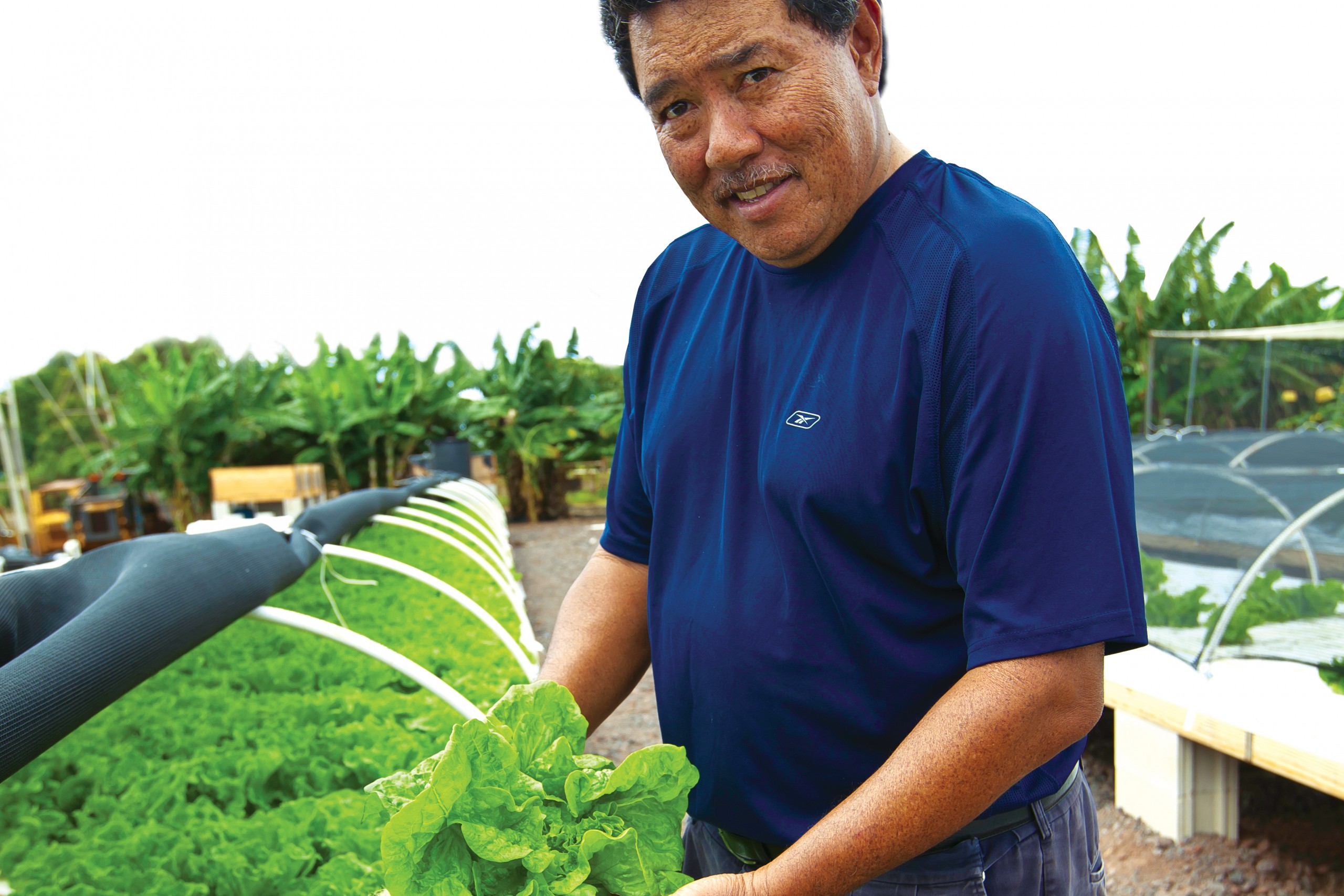 Growing Tilapia and Vegetables with Aquaponics - Hawaii Business Magazine