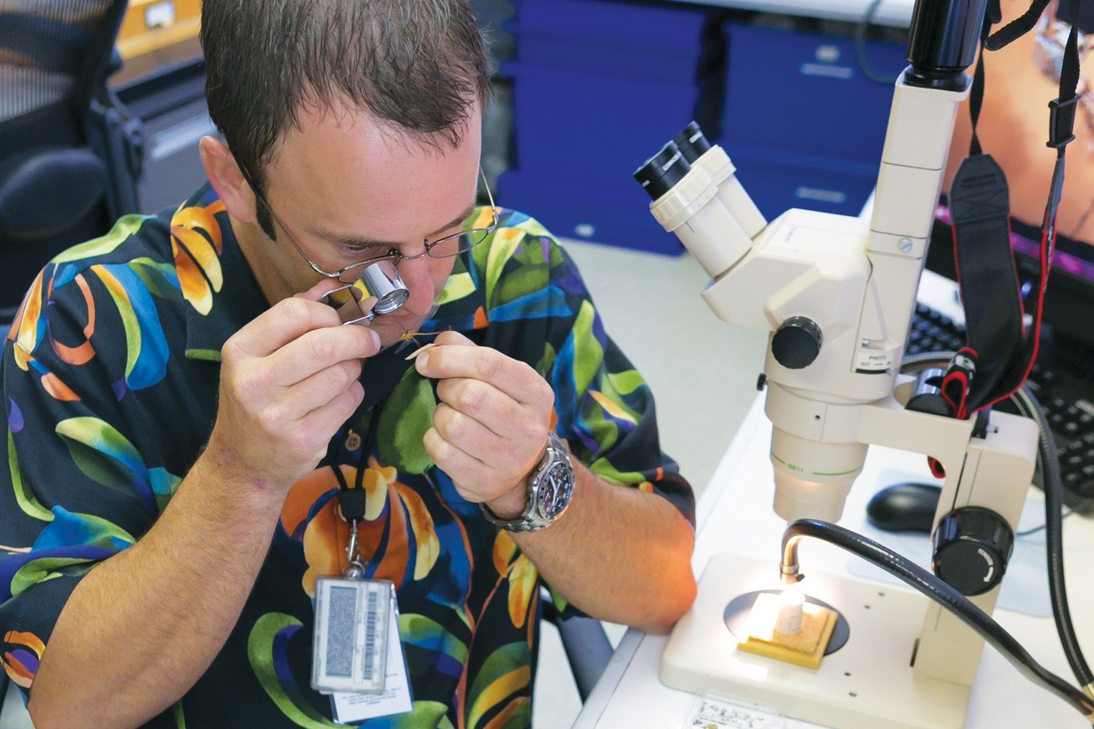 My Job: Entomologist - Hawaii Business Magazine