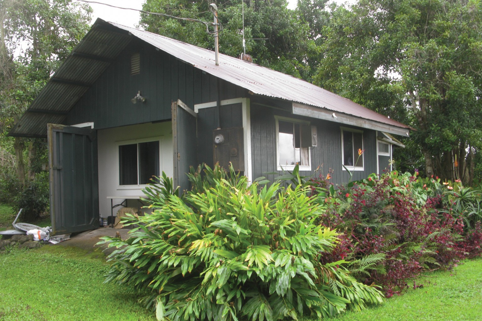 Buy A Coffee Farm in Kona Hawaii Business Magazine