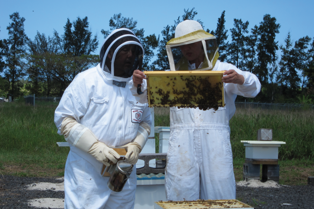 Hawai'i Beekeepers' Association