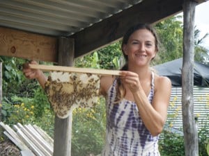 Hawai'i Beekeepers' Association