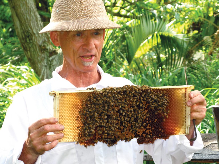 Hawaii Beekeeping Makes a Comeback Hawaii Business Magazine