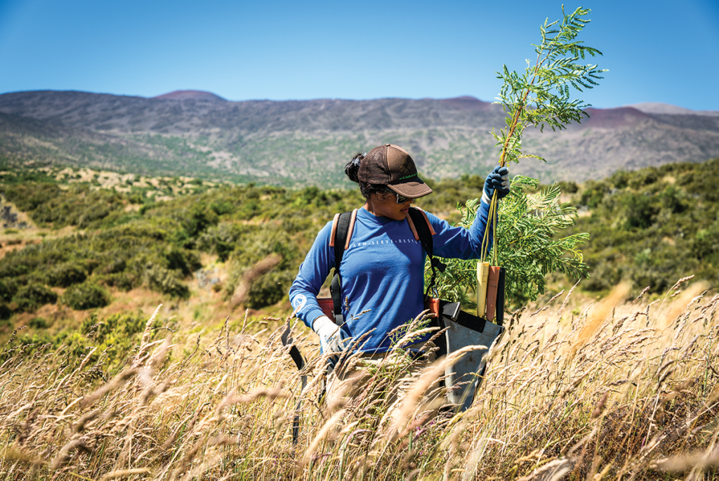 A Kupu Americorp volunteer helps plant koa seedlings in the Pu‘u Mali Forest Restoration Area. Photo courtesy of DLNR