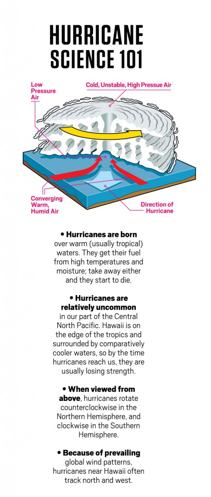 Hurricanes: The Other Checklist - Hawaii Business Magazine