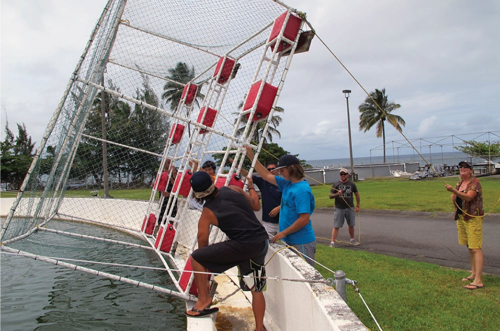 Students work at the Fish Lab at UH-Hilo. Photo courtesy CAFNRM